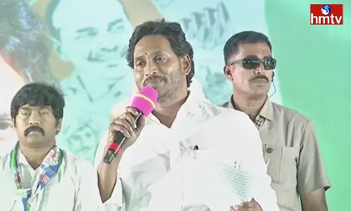 Jagan Comments On Chandrababu