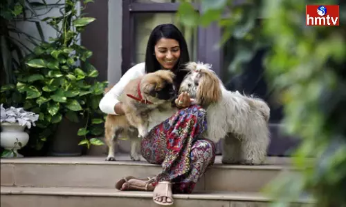 Are you raising animals at home now you can take health insurance for them too Are you raising animals at home now you can take health insurance for them too