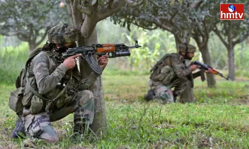 29 Maoists Killed in Massive Chhattisgarh Encounter