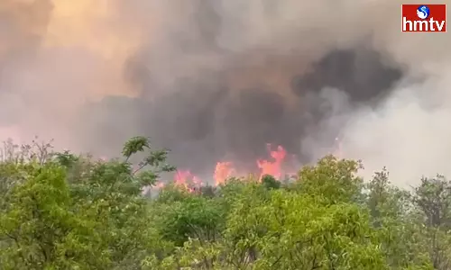 Fire Accident In Tirumala Fire Accident In Tirumala