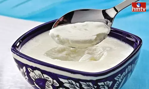 Eating Curd During Summer Will Make you Feel Cold but do not eat it With These Foods