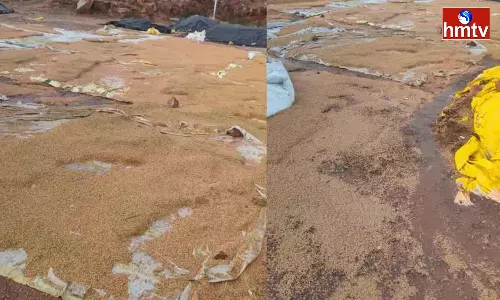 Heavy Rain In Nizamabad