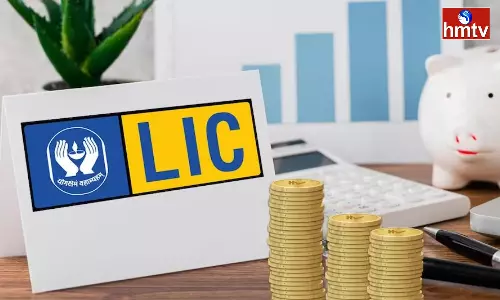 Have you invested in LIC you will be shocked to know where your money is going