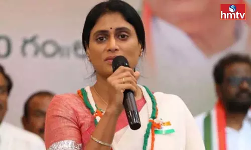 Y S Sharmila Comments On YCP Manifesto