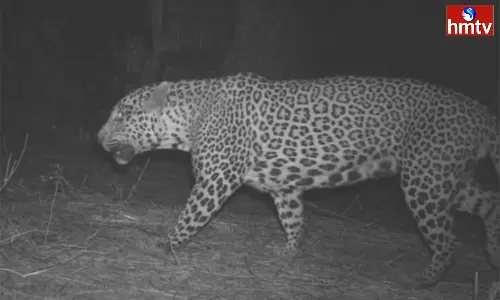 High Alert In The Vicinity Of Shamshabad Airport Operation Cheetah Is Ongoing