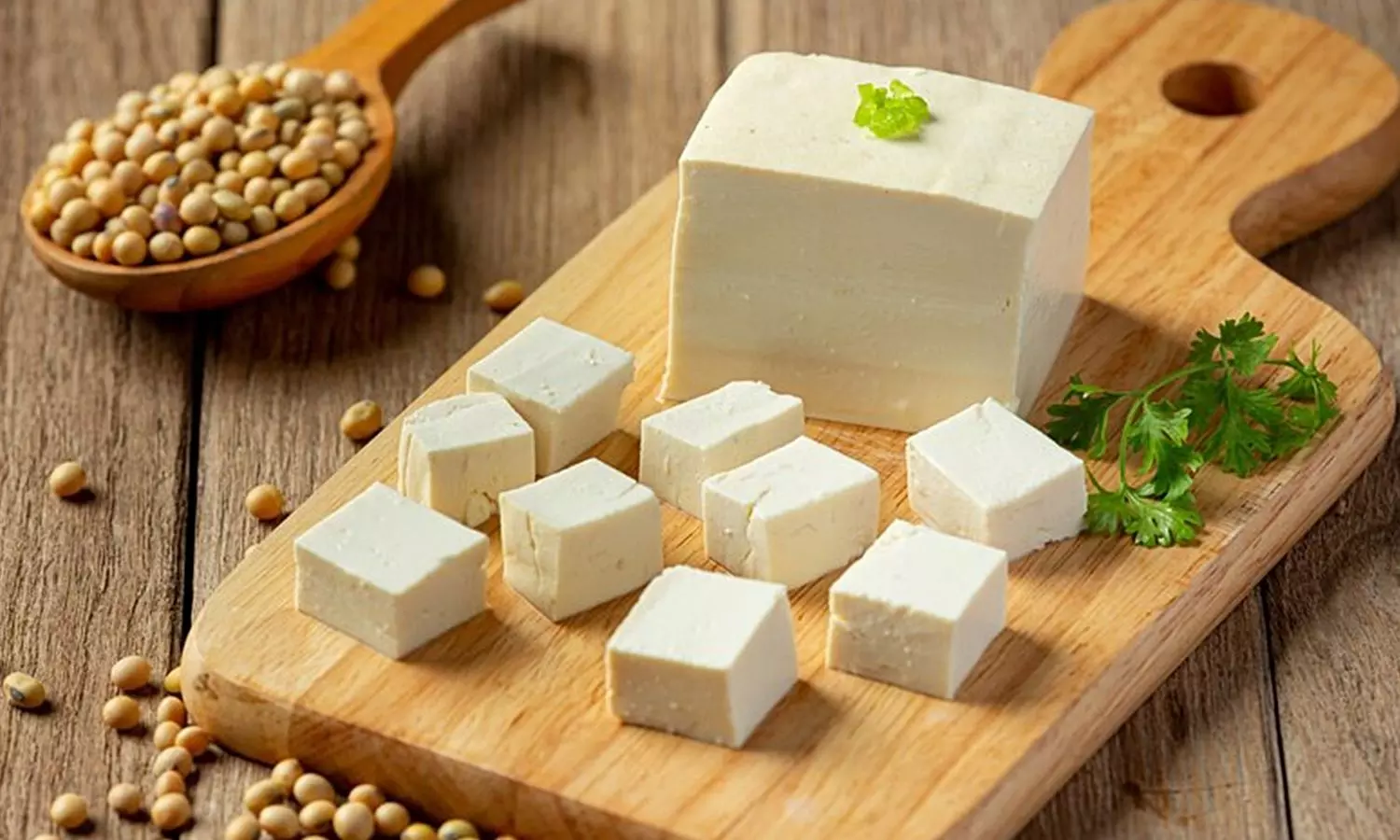 Real Paneer Learn How To Spot Fake Paneer With These Methods