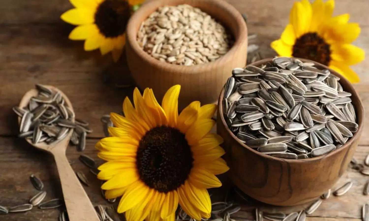 Sun Flower seeds are Rich in Nutrients in this control cancer