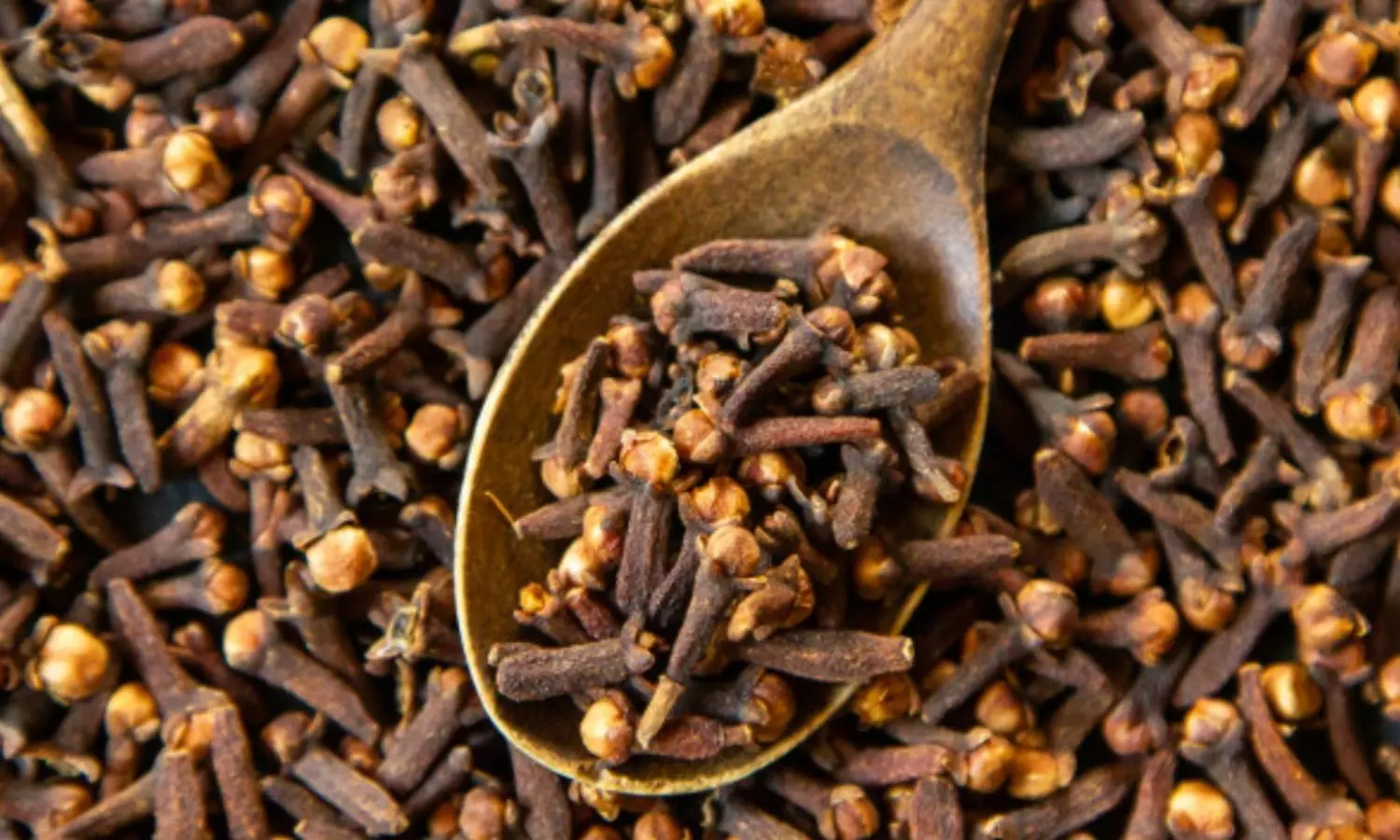 Eat One Clove A Day Get Rid Of These Health Problems