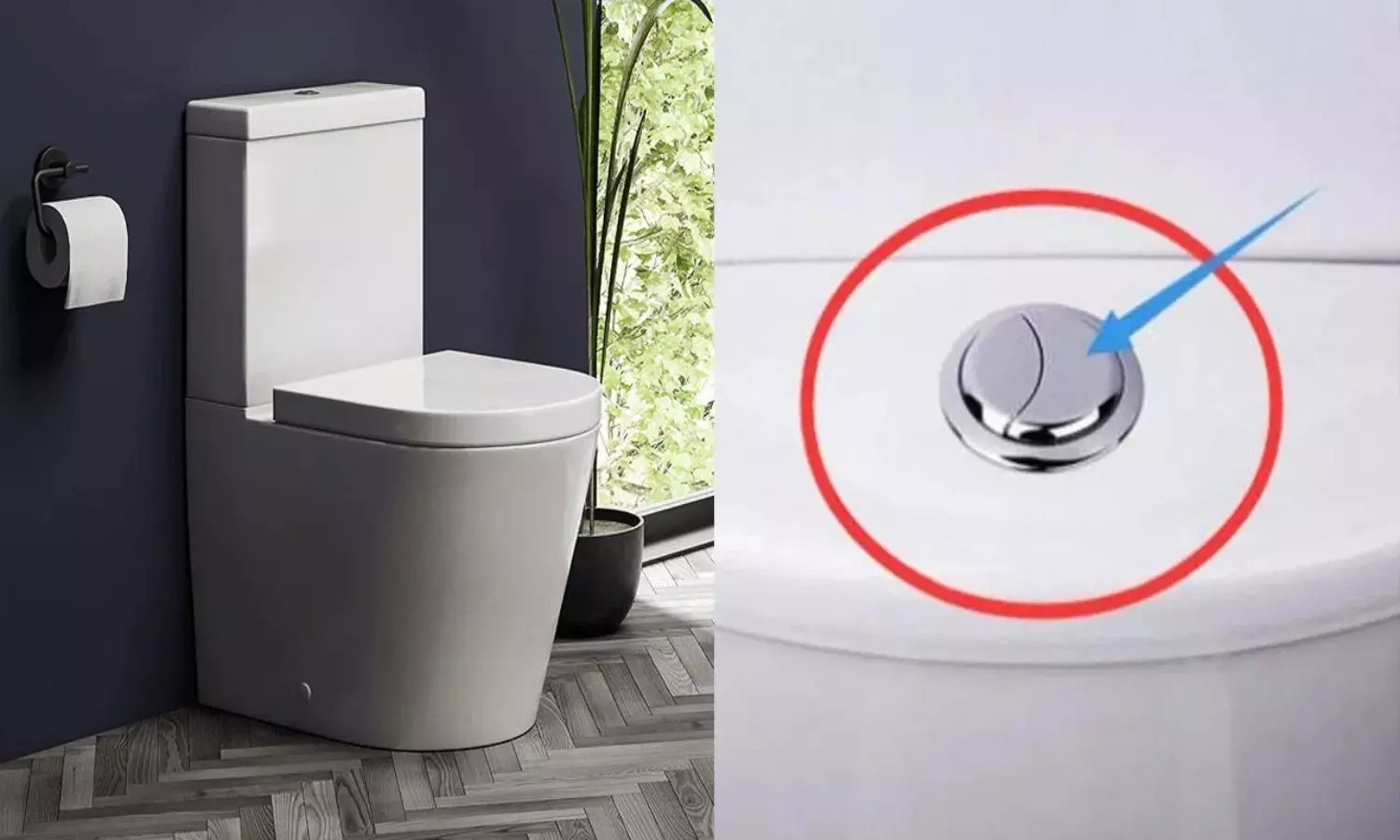 Why Toilet Flush has One Large and one Small Button Check Here Full Reason