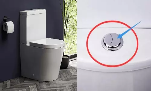 Why Toilet Flush has One Large and one Small Button Check Here Full Reason Why Toilet Flush has One Large and one Small Button Check Here Full Reason