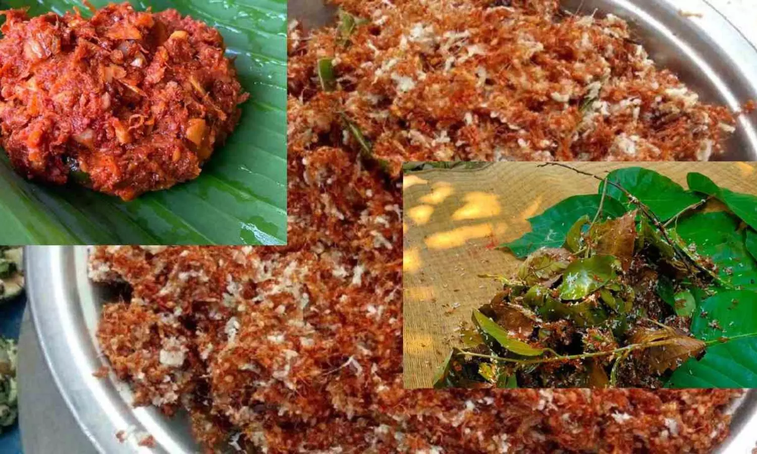 Red Ant Chutney Tribal Food in Summer