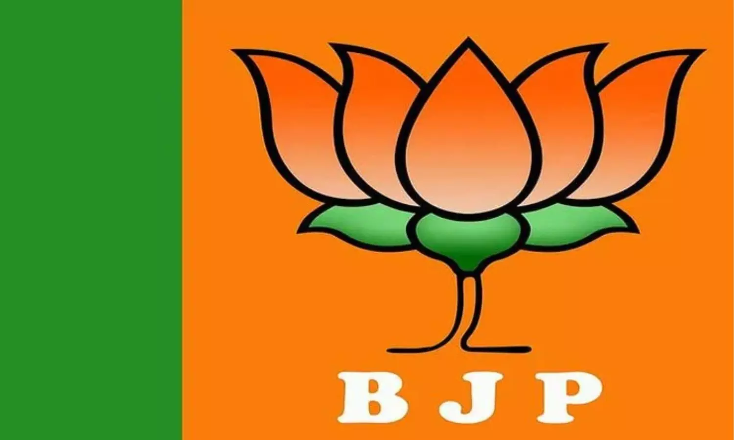 BJP Review on General Elections