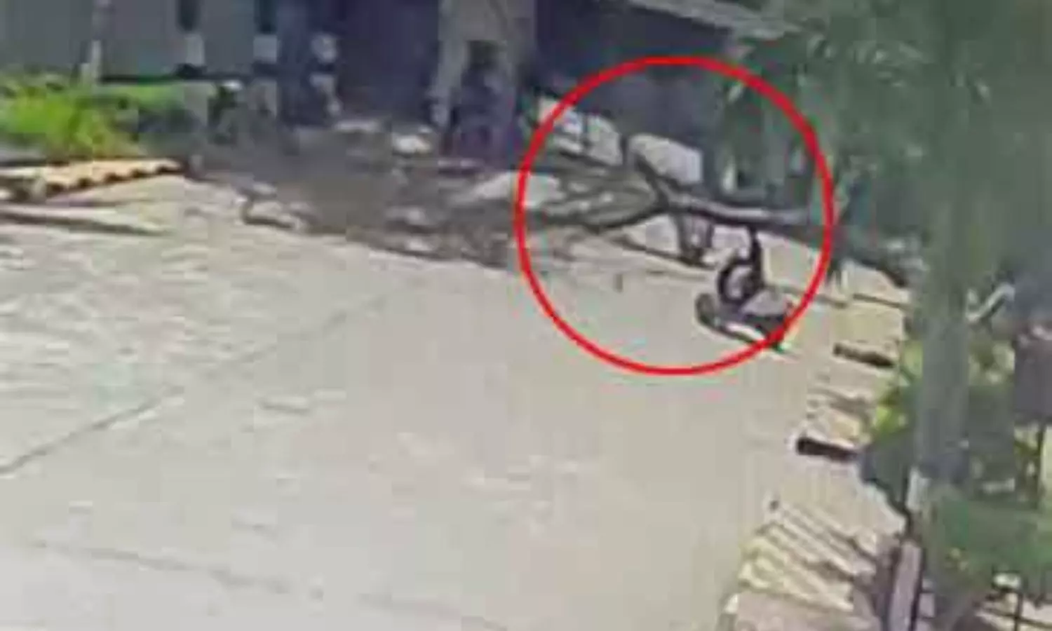 Big tree fall on Couple husband died in Hyderabad Big tree fall on Couple husband died in Hyderabad