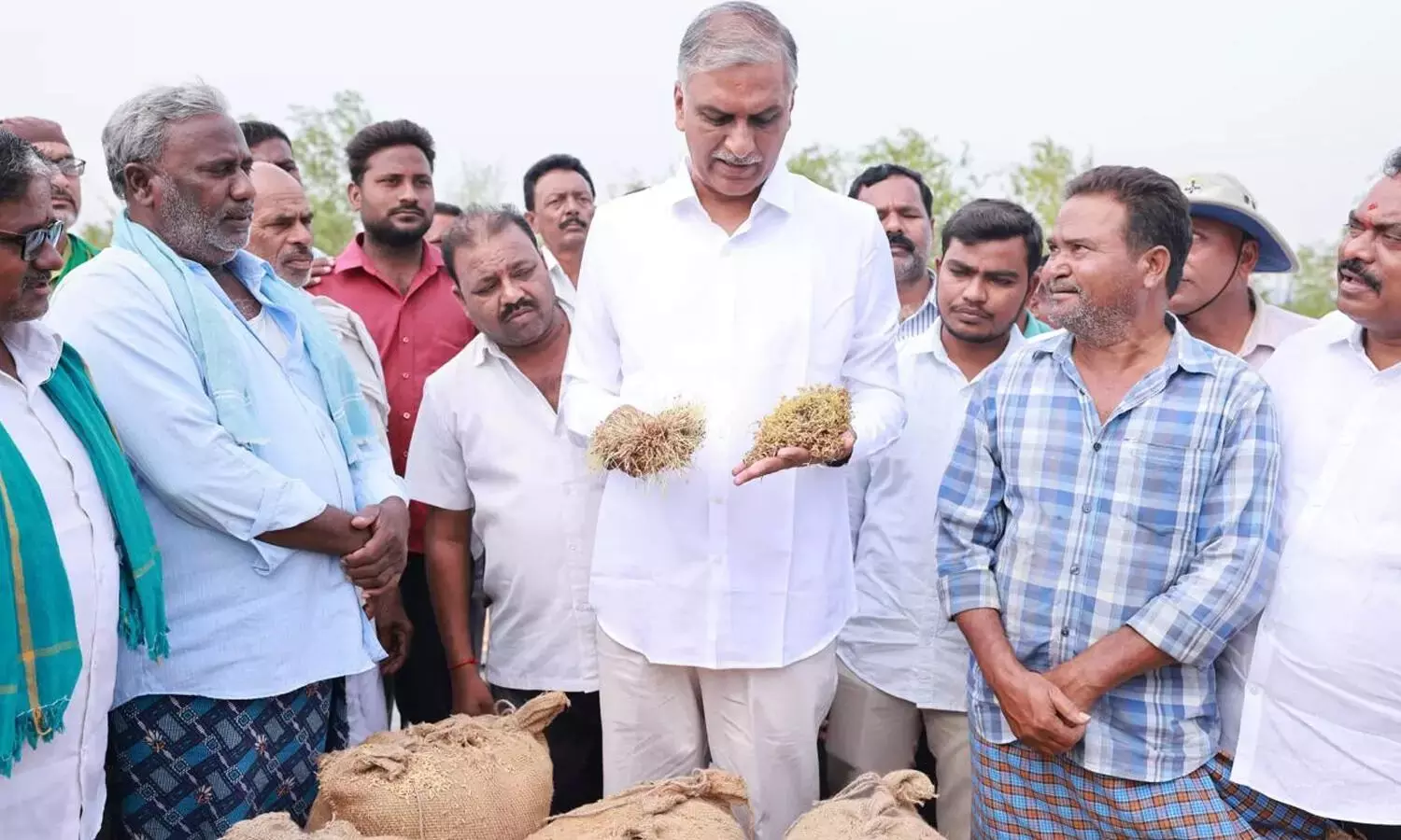 Stained Rice Should Be Bought Immediately Says Harish Rao