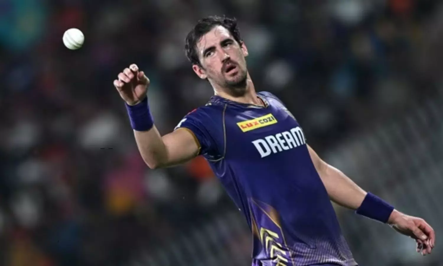 Mitchell Starc Strong Counter on Most Expensive IPL Player Tag and Jokes After IPL 2024 Final