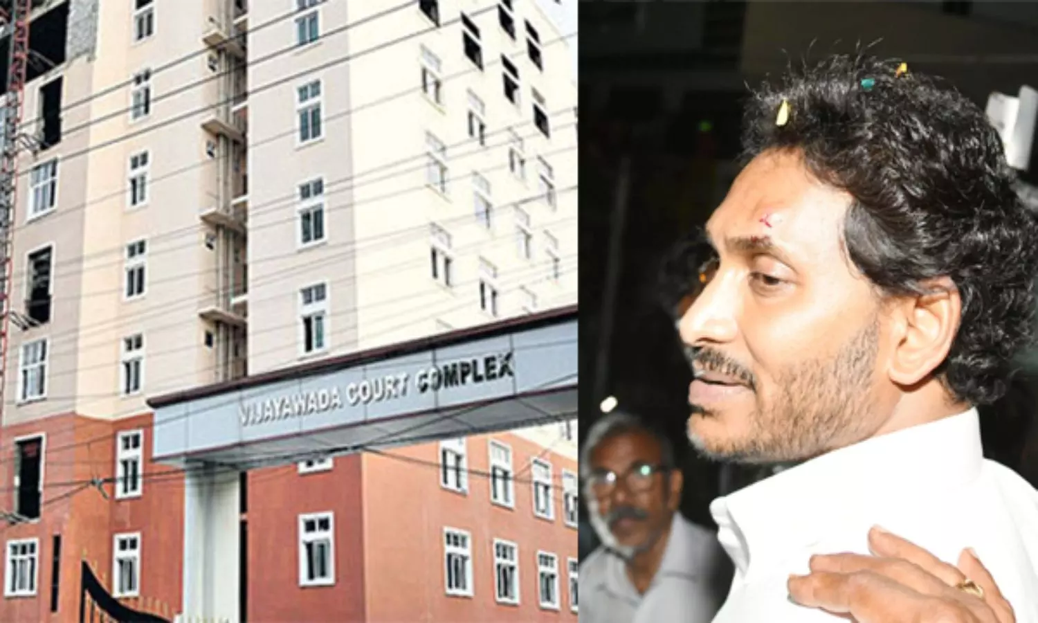 Bail Petition Of The Accused In The Case Of Stone Attack On Jagan