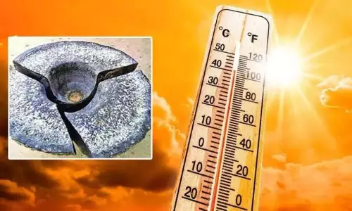 Rohini Karte Start Which Breaks the Rolls Know the Remedies of Graha Dosha