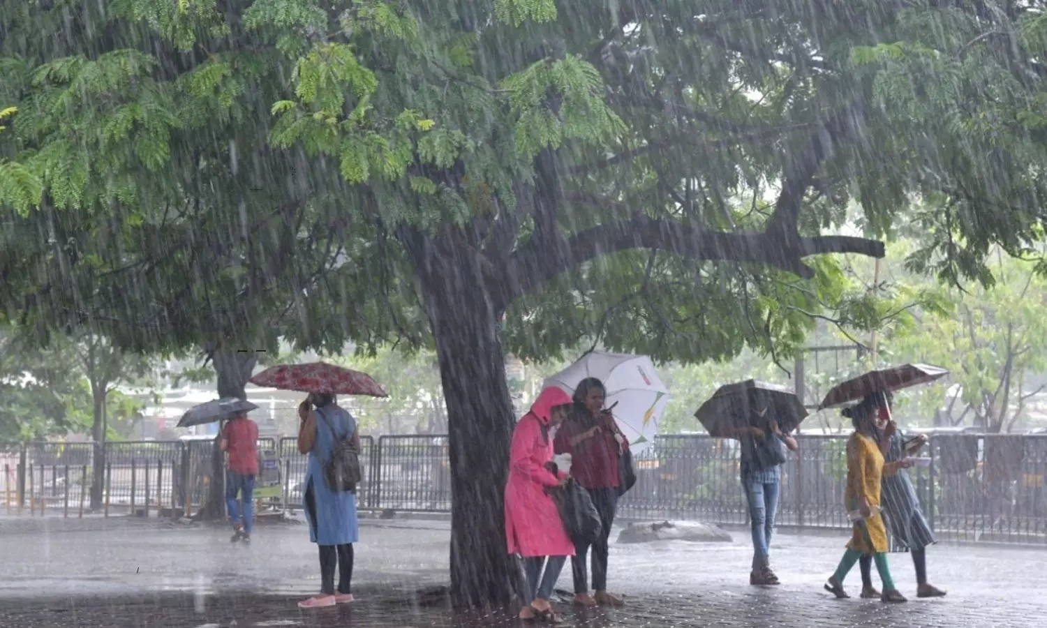 Higher Than Normal Rainfall During The Monsoon Season