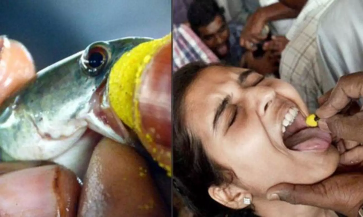 Alert for Asthma Patients Fish Prasadam Distribution Dates Fix