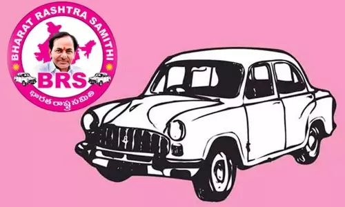 Brakes on the car in the Parliament elections for the first time after the establishment of the party Brakes on the car in the Parliament elections for the first time after the establishment of the party