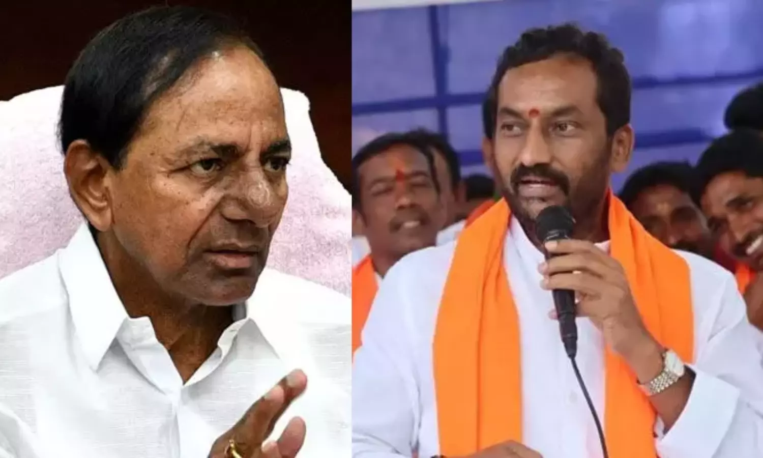 Raghunandan Rao Comments On KCR And Harish Rao