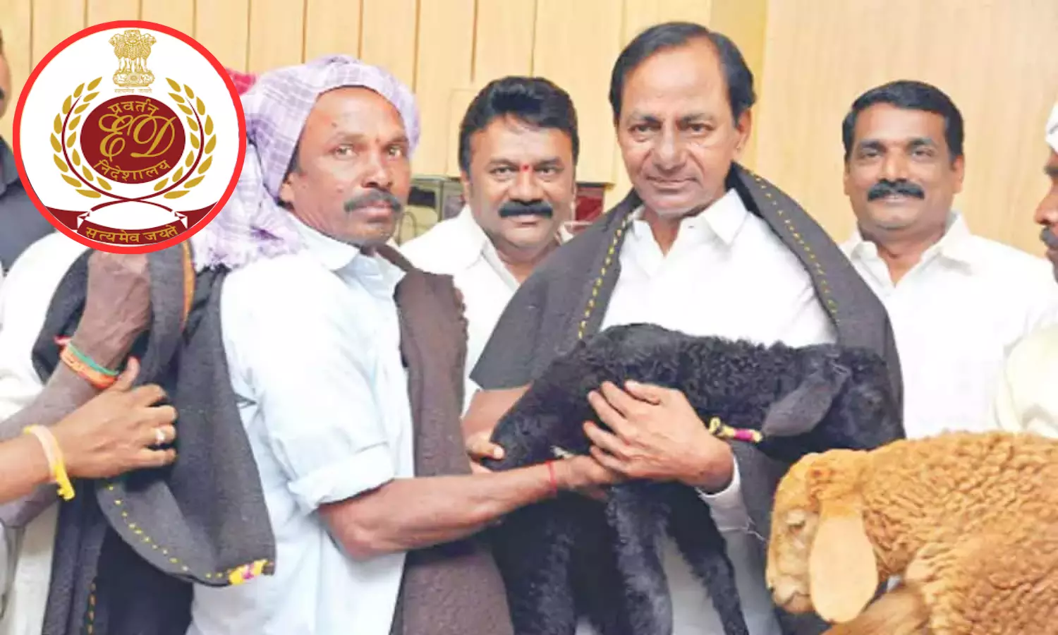 What is the story of the sheep scam in Telangana Why did ED get involved?