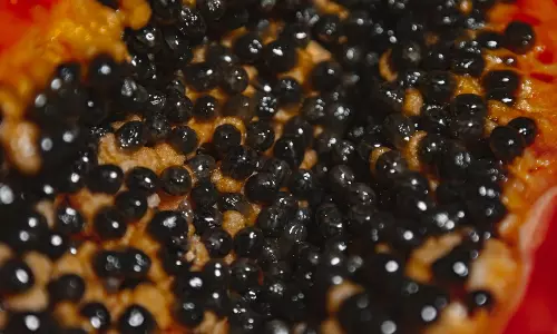 Health Tips: పండే కాదు..గింజలు కూడా అమృతమే..వీటిని నానబెట్టుకుని తింటే ఎన్ని ప్రయోజనాలో.!