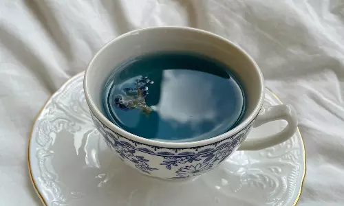 Blue Tea Benefits: ఈ టీ తాగితే..పైసా ఖర్చు లేకుండా కొలెస్ట్రాల్ కరిగించుకోవచ్చు.! Blue Tea Benefits: ఈ టీ తాగితే..పైసా ఖర్చు లేకుండా కొలెస్ట్రాల్ కరిగించుకోవచ్చు.!