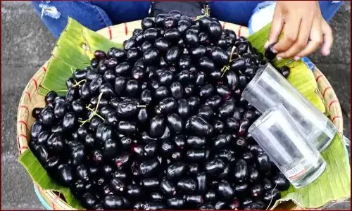 Health Benefits of Jamun Fruit Health Benefits of Jamun Fruit