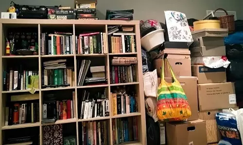 Optical Illusion Can You Find There is Cat in This Photo