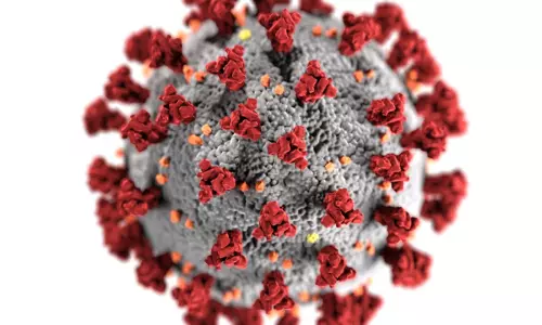 Chandipurs first death due to virus..a four-year-old girl died