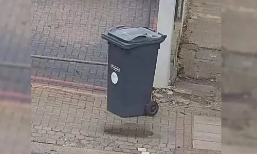 Optical Illusion This Photo Looks Like Dustbin in Air, But Real Fact Will Surprise You
