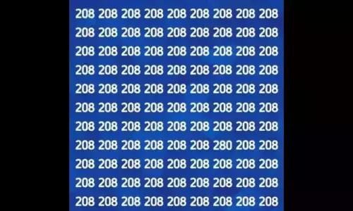 Can You Find There is 280 Number Among the 208 Number in This Photo Puzzle