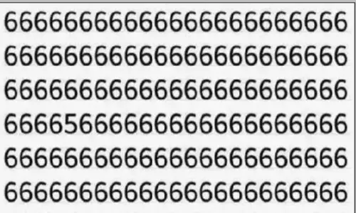 Optical Illusion Photo Can you Find Number 5 Among the 6 in This Photo