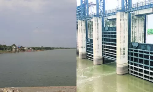 Maharashtra Babli Project Gates Lifted