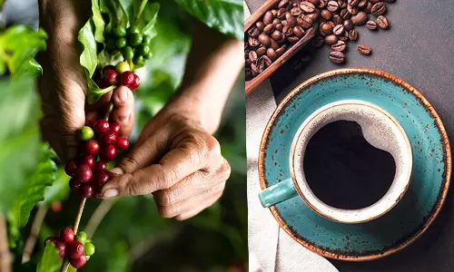 what is araku coffee? reason behind taste in araku coffee what is araku coffee? reason behind taste in araku coffee