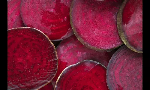 Beetroot : బీట్ రూట్ ఆరోగ్యానికి మంచిదని అదే పనిగా తింటున్నారా.. ఈ ముప్పు తప్పదు Beetroot : బీట్ రూట్ ఆరోగ్యానికి మంచిదని అదే పనిగా తింటున్నారా.. ఈ ముప్పు తప్పదు