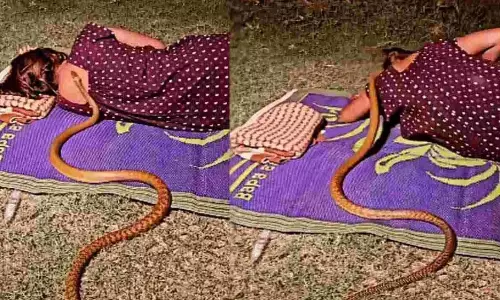 Snake Going Towards a Young Woman Who Sleeping Video Goes Viral Snake Going Towards a Young Woman Who Sleeping Video Goes Viral