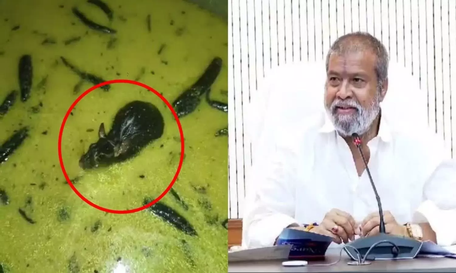 Minister Damodara Raja Narasimha Serious on Rat in Chutney Incident