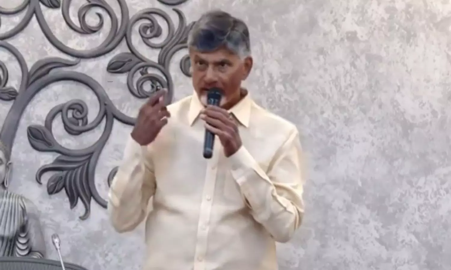 Chandrababu Released a White Paper on the Power Sector