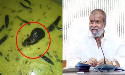 Minister Damodara Raja Narasimha Serious on Rat in Chutney Incident