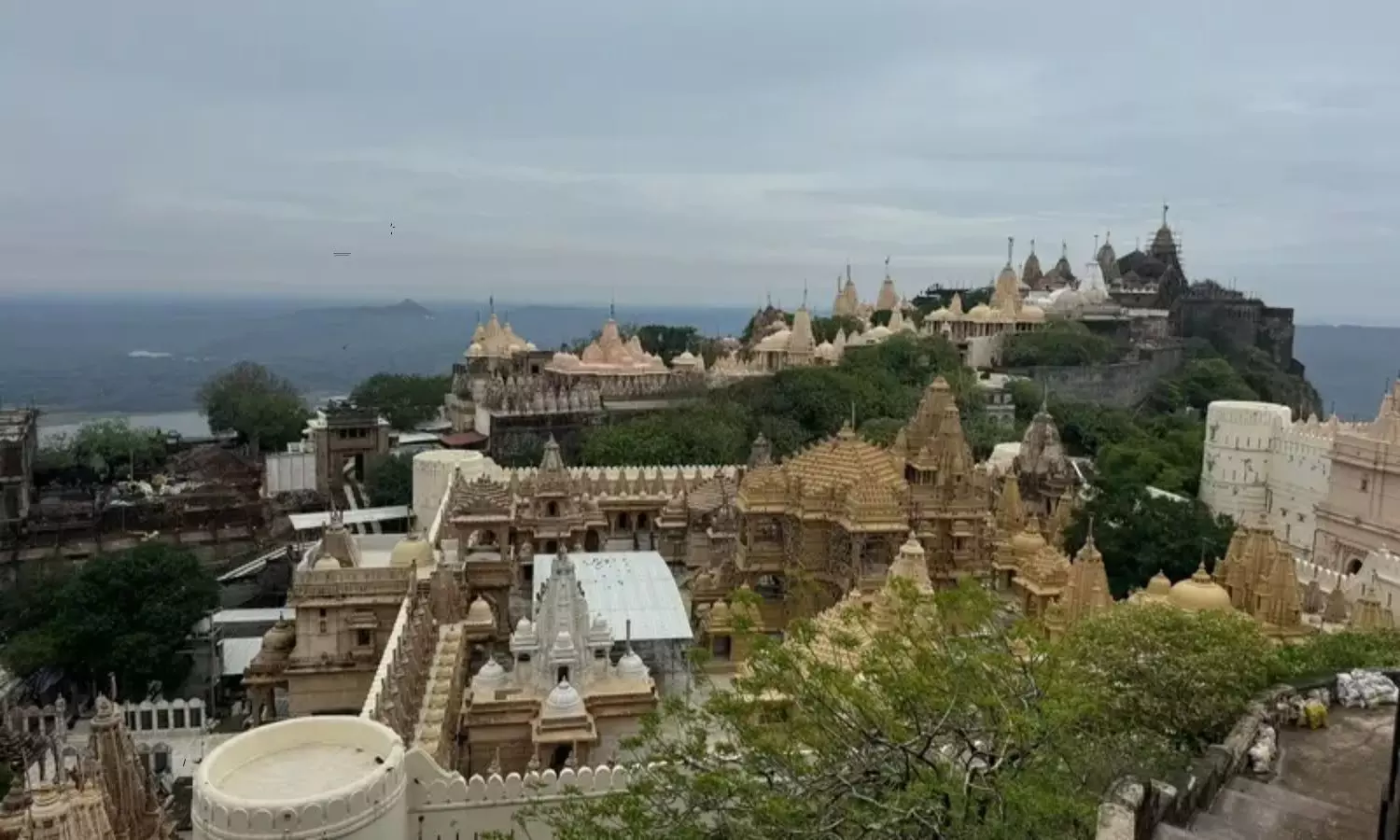 Palitana is the first city in the world to ban non-veg