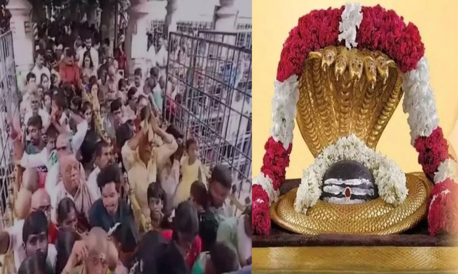 Crowd of devotees at Srisailam Mallanna Temple