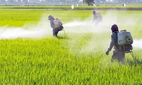 పెస్టిసైడ్స్ వాడకంలో దేశంలో తెలంగాణ నంబర్-3