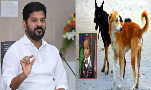 Revanth Reddy Shocks Over Death of a boy in Stray Dogs Attack Revanth Reddy Shocks Over Death of a boy in Stray Dogs Attack