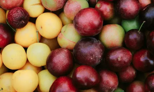 If you eat these fruits during monsoon, you can stay away from infections If you eat these fruits during monsoon, you can stay away from infections