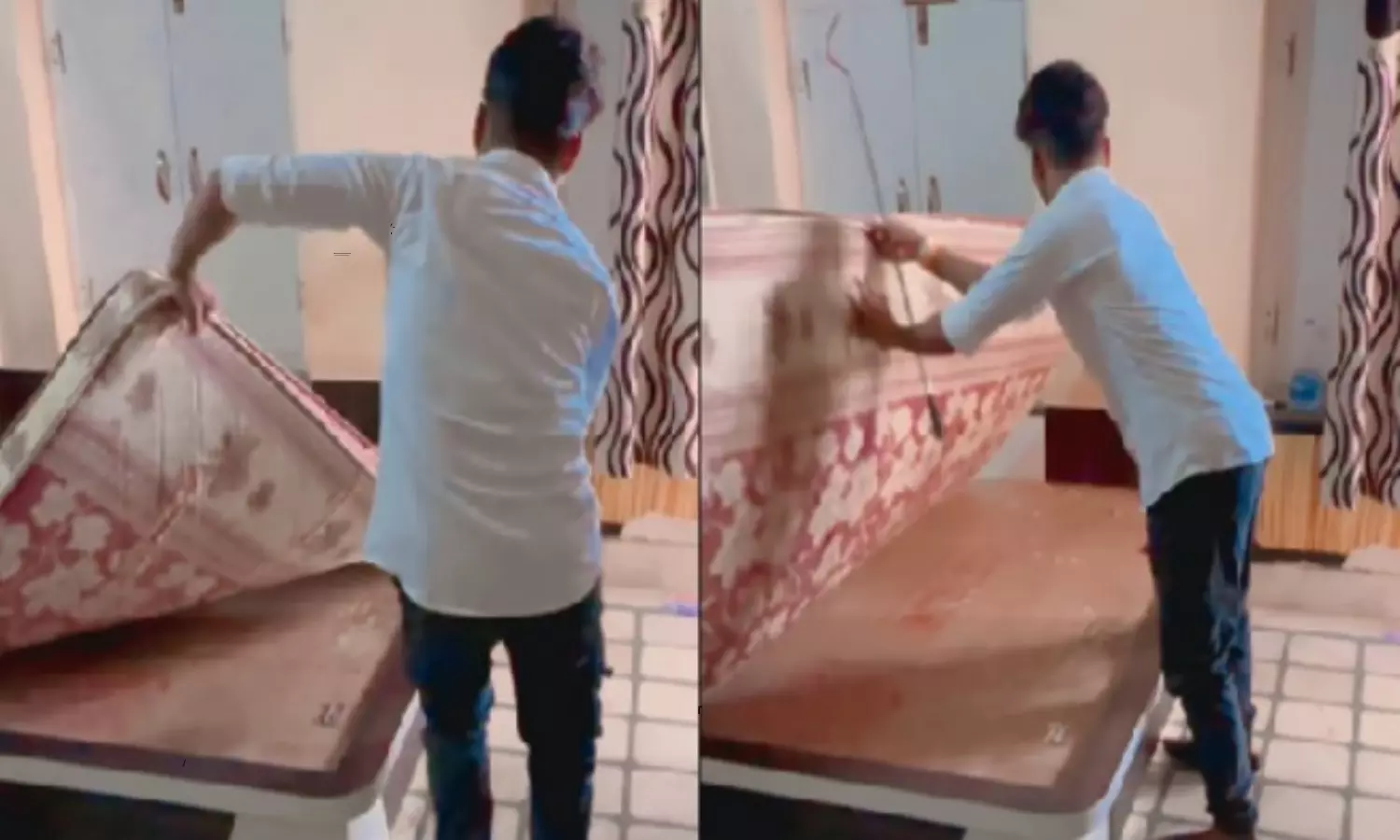 Snake Moves Under the Mattress Video Goes Viral in Social Media