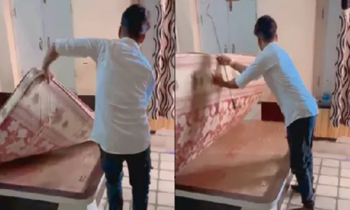 Snake Moves Under the Mattress Video Goes Viral in Social Media Snake Moves Under the Mattress Video Goes Viral in Social Media