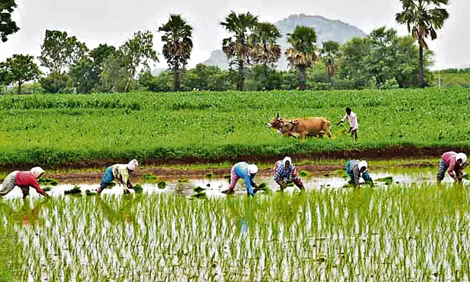 farmers-on-loan-waiver-issues-district-administration-focus-on-farmers-problems