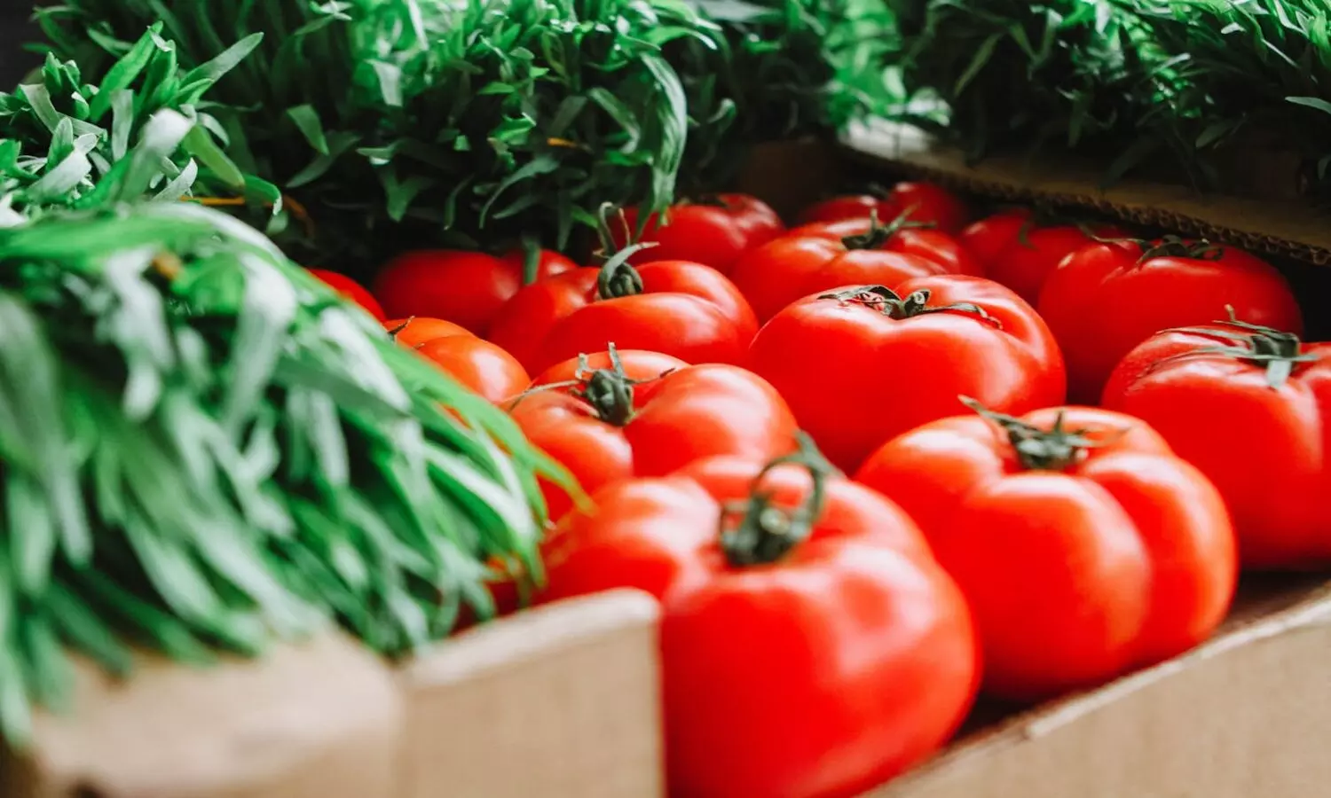 In Hyderabad market Rs. 100 per kg tomato price